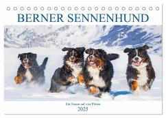 Berner Sennenhund - Ein Traum auf vier Pfoten (Tischkalender 2025 DIN A5 quer), CALVENDO Monatskalender - Calvendo;Starick, Sigrid