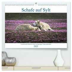 Schafe auf Sylt (hochwertiger Premium Wandkalender 2025 DIN A2 quer), Kunstdruck in Hochglanz - Calvendo;Balzer, Bodo