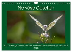 Nervöse Gesellen (Wandkalender 2025 DIN A4 quer), CALVENDO Monatskalender