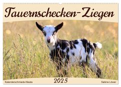 Tauernschecken-Ziegen (Wandkalender 2025 DIN A2 quer), CALVENDO Monatskalender - Calvendo;Löwer, Sabine