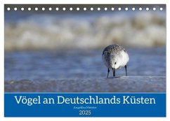 Vögel an Deutschlands Küsten (Tischkalender 2025 DIN A5 quer), CALVENDO Monatskalender