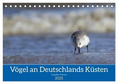 Vögel an Deutschlands Küsten (Tischkalender 2025 DIN A5 quer), CALVENDO Monatskalender - Calvendo;Meister, Angelika