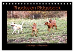Rhodesian Ridgeback unterwegs mit Freunden (Tischkalender 2025 DIN A5 quer), CALVENDO Monatskalender - Calvendo;Behrens, Dagmar