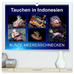 Tauchen in Indonesien - BUNTE MEERESSCHNECKEN (hochwertiger Premium Wandkalender 2025 DIN A2 quer), Kunstdruck in Hochglanz