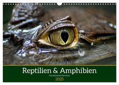Reptilien & Amphibien Portraits (Wandkalender 2025 DIN A3 quer), CALVENDO Monatskalender