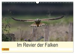 Im Revier der Falken (Wandkalender 2025 DIN A3 quer), CALVENDO Monatskalender