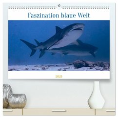 Faszination blaue Welt (hochwertiger Premium Wandkalender 2025 DIN A2 quer), Kunstdruck in Hochglanz - Calvendo;Schulz, Peter