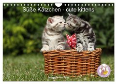 Süße Kätzchen - cute kittens (Wandkalender 2025 DIN A4 quer), CALVENDO Monatskalender