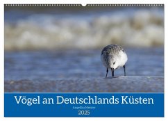 Vögel an Deutschlands Küsten (Wandkalender 2025 DIN A2 quer), CALVENDO Monatskalender