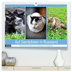 Auf Samtpfoten in Russland - Museums-Katzen auf russischen Landgütern (hochwertiger Premium Wandkalender 2025 DIN A2 quer), Kunstdruck in Hochglanz