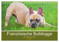 Französische Bulldogge - Kleine Helden auf vier Pfoten (Tischkalender 2025 DIN A5 quer), CALVENDO Monatskalender - Calvendo;Starick, Sigrid