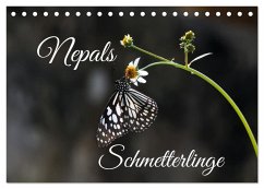 Nepals Schmetterlinge (Tischkalender 2025 DIN A5 quer), CALVENDO Monatskalender