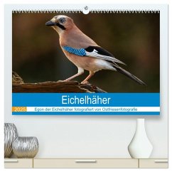 Eichelhäher - Egon der Eichelhäher fotografiert von Ostfriesenfotografie (hochwertiger Premium Wandkalender 2025 DIN A2 quer), Kunstdruck in Hochglanz