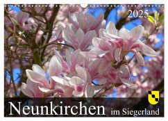 Neunkirchen im Siegerland (Wandkalender 2025 DIN A3 quer), CALVENDO Monatskalender - Calvendo;Behner, Markus