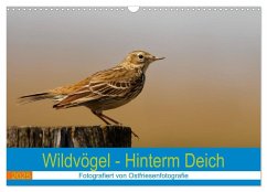 Wildvögel - Hinterm Deich (Wandkalender 2025 DIN A3 quer), CALVENDO Monatskalender