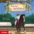 Lotte gibt nicht auf / Ponyhof Apfelblüte Bd.23 (Audio-CD)