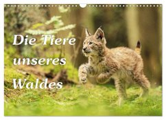 Die Tiere unseres Waldes (Wandkalender 2025 DIN A3 quer), CALVENDO Monatskalender