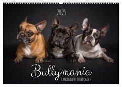 Bullymania - Französische Bulldoggen (Wandkalender 2025 DIN A2 quer), CALVENDO Monatskalender - Calvendo;Gareis (SCHNAPP-Schuss), Silke