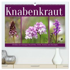 Knabenkraut (hochwertiger Premium Wandkalender 2025 DIN A2 quer), Kunstdruck in Hochglanz - Calvendo;Löwer, Sabine