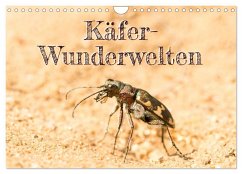 Käfer-Wunderwelten (Wandkalender 2025 DIN A4 quer), CALVENDO Monatskalender