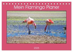 Mein Flamingo Planer (Tischkalender 2025 DIN A5 quer), CALVENDO Monatskalender