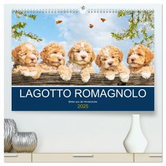 Lagotto Romagnolo - Bilder aus der Kinderstube (hochwertiger Premium Wandkalender 2025 DIN A2 quer), Kunstdruck in Hochglanz - Calvendo;Starick, Sigrid