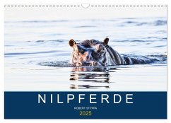 Nilpferde, Kolosse in Afrika (Wandkalender 2025 DIN A3 quer), CALVENDO Monatskalender