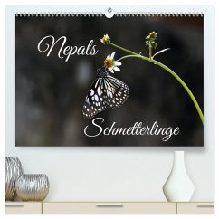 Nepals Schmetterlinge (hochwertiger Premium Wandkalender 2025 DIN A2 quer), Kunstdruck in Hochglanz