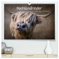 Hochlandrinder - Zottelige Schönheiten (hochwertiger Premium Wandkalender 2025 DIN A2 quer), Kunstdruck in Hochglanz