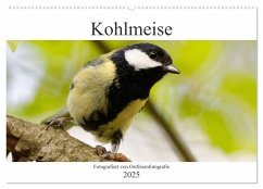 Kohlmeise - Fotografiert von Ostfriesenfotografie (Wandkalender 2025 DIN A2 quer), CALVENDO Monatskalender - Calvendo;Betten - Ostfriesenfotografie, Christina