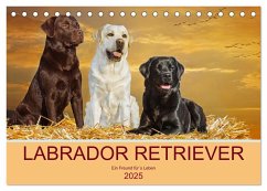 Labrador Retriever - Ein Freund für´s Leben (Tischkalender 2025 DIN A5 quer), CALVENDO Monatskalender - Calvendo;Starick, Sigrid