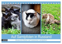 Auf Samtpfoten in Russland - Museums-Katzen auf russischen Landgütern (Tischkalender 2025 DIN A5 quer), CALVENDO Monatskalender