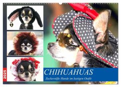 Chihuahuas. Zuckersüße Hunde im lustigen Outfit (Wandkalender 2025 DIN A2 quer), CALVENDO Monatskalender - Calvendo;Hurley, Rose