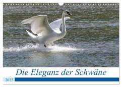 Die Eleganz der Schwäne (Wandkalender 2025 DIN A3 quer), CALVENDO Monatskalender - Calvendo;Müller Fotografie, Andreas