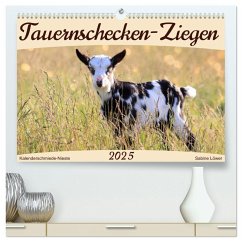 Tauernschecken-Ziegen (hochwertiger Premium Wandkalender 2025 DIN A2 quer), Kunstdruck in Hochglanz - Calvendo;Löwer, Sabine