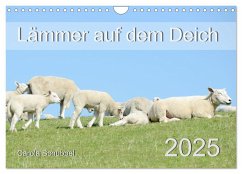 Lämmer auf dem Deich (Wandkalender 2025 DIN A4 quer), CALVENDO Monatskalender - Calvendo;Schubbel, Carola