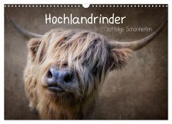 Hochlandrinder - Zottelige Schönheiten (Wandkalender 2025 DIN A3 quer), CALVENDO Monatskalender