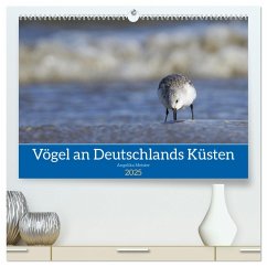 Vögel an Deutschlands Küsten (hochwertiger Premium Wandkalender 2025 DIN A2 quer), Kunstdruck in Hochglanz