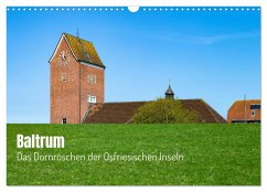 Baltrum - Das Dornröschen der Ostfriesischen Inseln (Wandkalender 2025 DIN A3 quer), CALVENDO Monatskalender