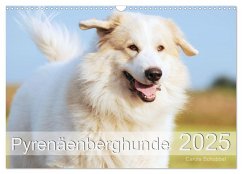 Pyrenäenberghunde (Wandkalender 2025 DIN A3 quer), CALVENDO Monatskalender - Calvendo;Schubbel, Carola