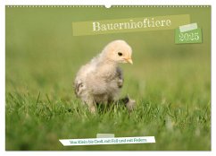 Bauernhoftiere - Von Klein bis Groß, mit Fell und mit Federn. (Wandkalender 2025 DIN A2 quer), CALVENDO Monatskalender