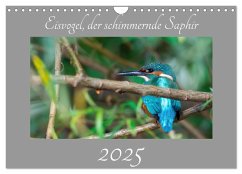 Eisvogel, der schimmernde Saphir (Wandkalender 2025 DIN A4 quer), CALVENDO Monatskalender