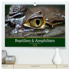 Reptilien & Amphibien Portraits (hochwertiger Premium Wandkalender 2025 DIN A2 quer), Kunstdruck in Hochglanz