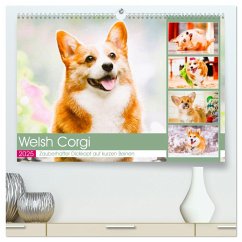 Welsh Corgi. Zauberhafter Dickkopf auf kurzen Beinen (hochwertiger Premium Wandkalender 2025 DIN A2 quer), Kunstdruck in Hochglanz - Calvendo;Hurley, Rose