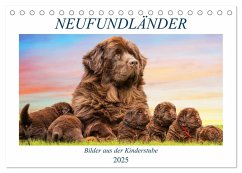 Neufundländer - Bilder aus der Kinderstube (Tischkalender 2025 DIN A5 quer), CALVENDO Monatskalender