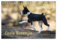 Coole Basenjis (Tischkalender 2025 DIN A5 quer), CALVENDO Monatskalender