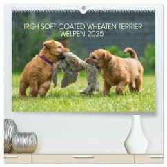 IRISH SOFT COATED WHEATEN TERRIER WELPEN 2025 (hochwertiger Premium Wandkalender 2025 DIN A2 quer), Kunstdruck in Hochglanz