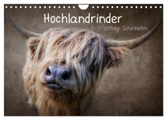 Hochlandrinder - Zottelige Schönheiten (Wandkalender 2025 DIN A4 quer), CALVENDO Monatskalender