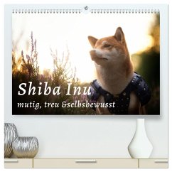 Shiba Inu - mutig, treu, selbstbewusst (hochwertiger Premium Wandkalender 2025 DIN A2 quer), Kunstdruck in Hochglanz