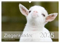 Ziegenkinder (Wandkalender 2025 DIN A3 quer), CALVENDO Monatskalender - Calvendo;Schubbel, Carola